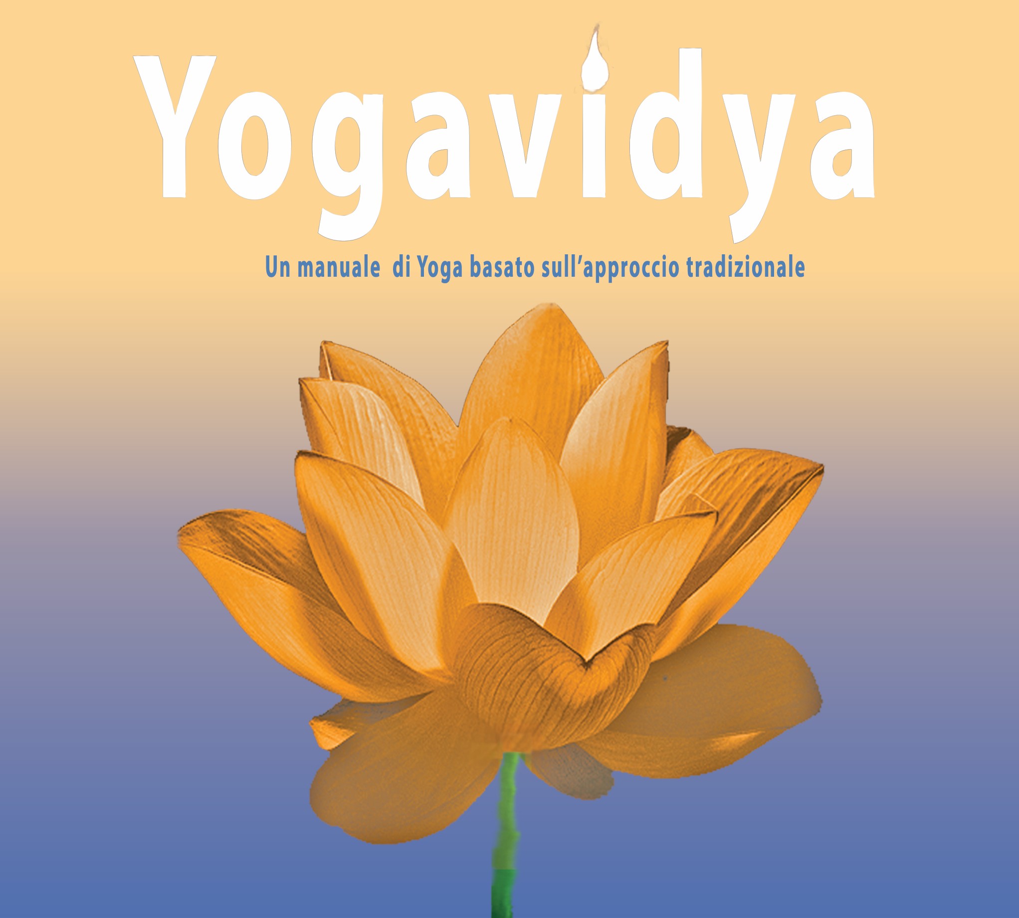 Yogavidya Book